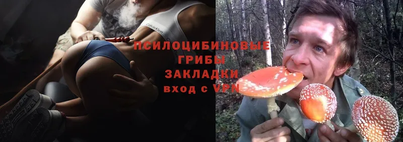 Галлюциногенные грибы Cubensis  Алзамай 